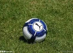 篮球名将女,儿齐聚赛场,热血少年燃,db体育入口,db体育官网,db体育app下载,db体育平台官网