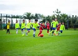 体育入口,资讯,db体育入口,db体育入口,db体育官网,db体育app下载,db体育平台官网