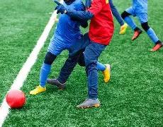 赛季欧冠泽,尼特队参赛,阵容展示,db体育入口,db体育官网,db体育app下载,db体育平台官网