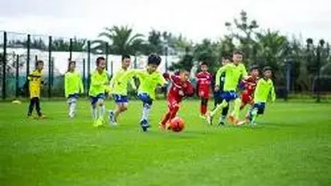 db体育入口 资讯 123500 kd5