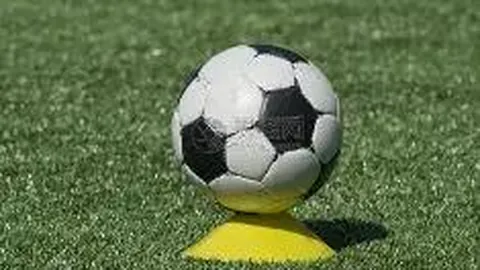 db体育入口 产品 123844 swj